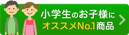 小学生のお子様にオススメNo.1商品